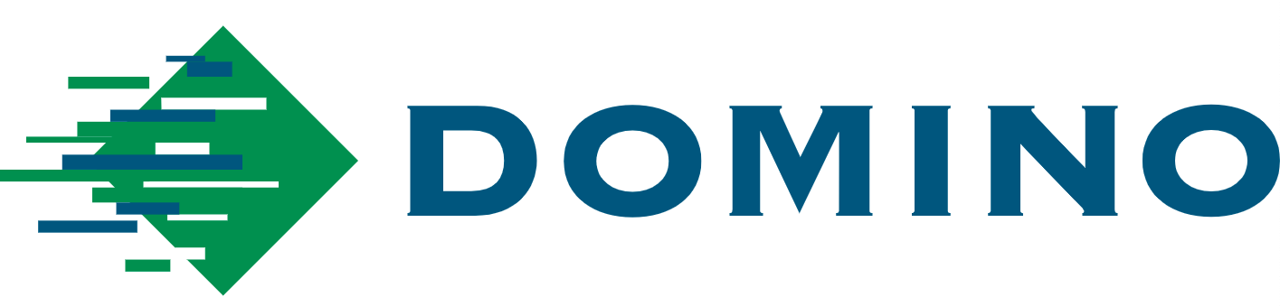 Domino Systems logo